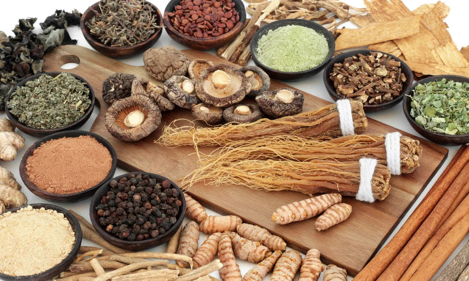 Adaptogenic Plants: Benefits, Effects & Potential Risks