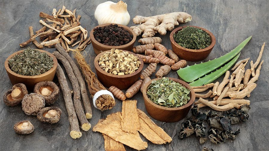 Boost Your Productivity and Well-Being with Nootropics and Superherbs - feelrooty.com