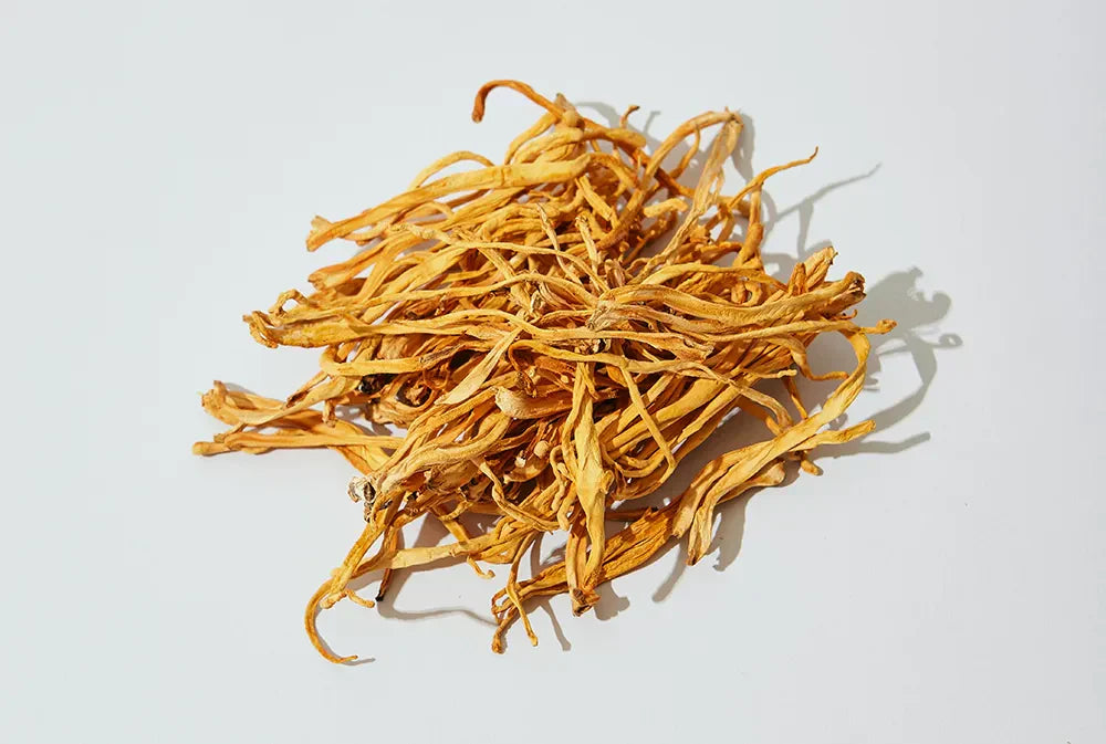 Cordyceps: A natural boost for your energy, focus, and well-being