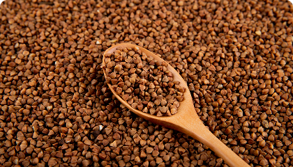 Vitamin B12