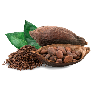 Cacao