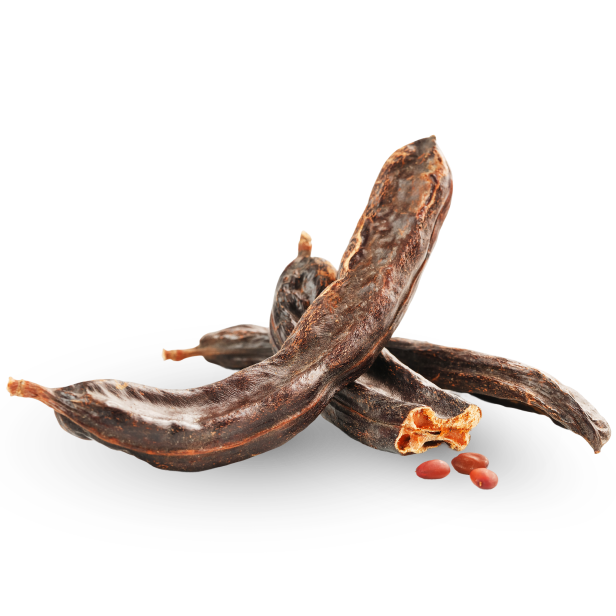 Carob