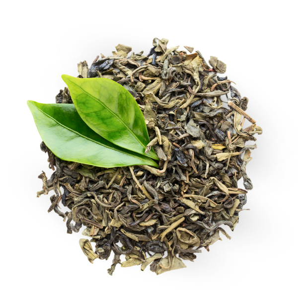 Green Tea Extract