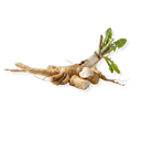 Inulin