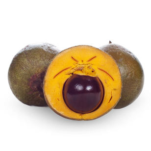 Lucuma