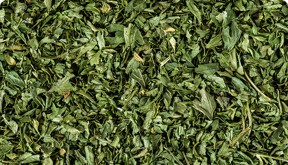Yerba mate