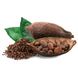Cacao