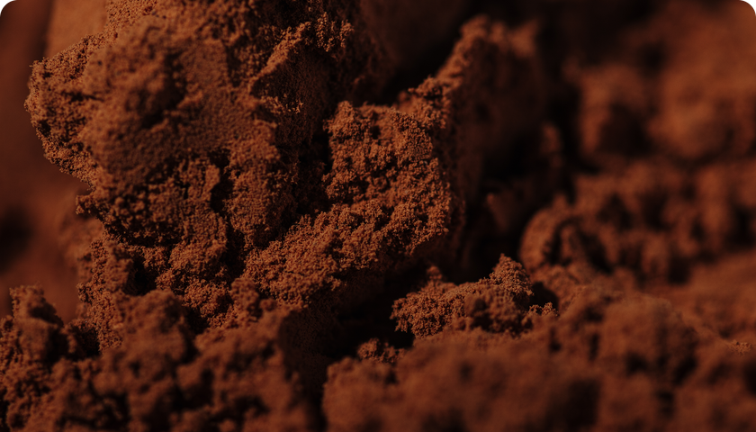 Cacao