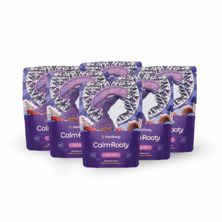 6x Pack