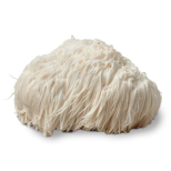 Lion’s mane mushroom 